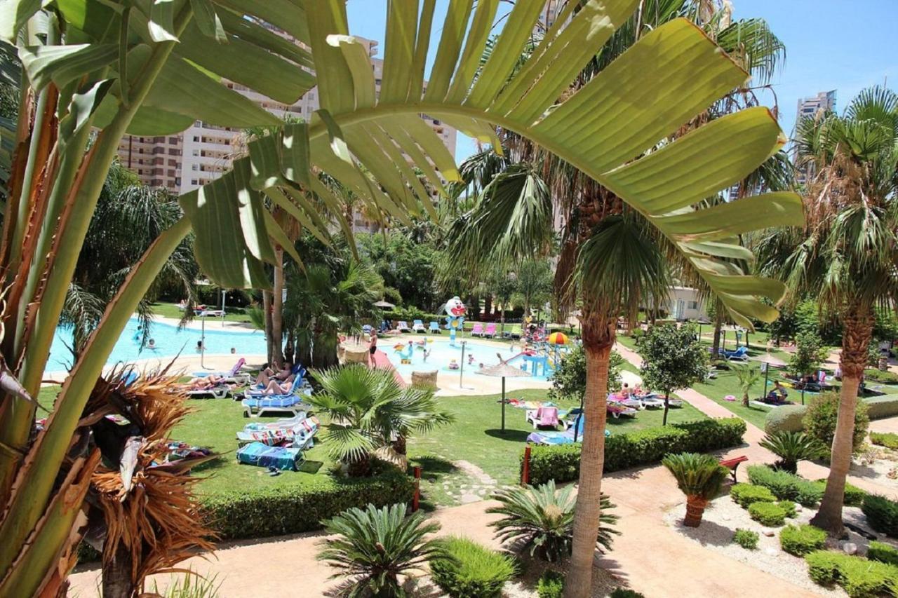Gemelos 22-3-12 Benidorm Luaran gambar